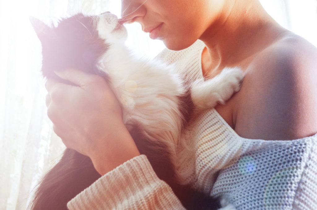 toxoplasmose toxoplasmose und hygiene