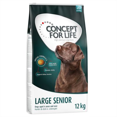 concept for life large senior