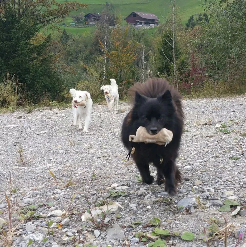 Trixie Preydummy Jagd-/Beute-Spielzeug