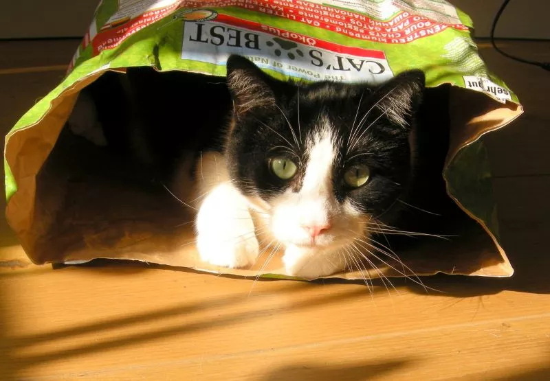 Cat’s Best Öko Plus / Original Katzenstreu Cat's Best Öko Plus / Original Katzenstreu