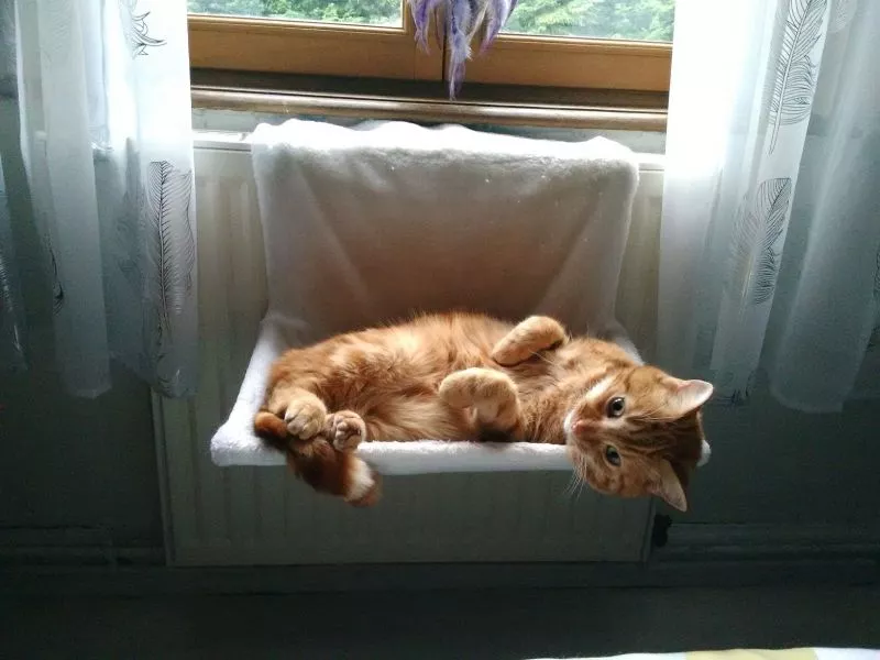 Trixie-ležaj Trixie-ležaj