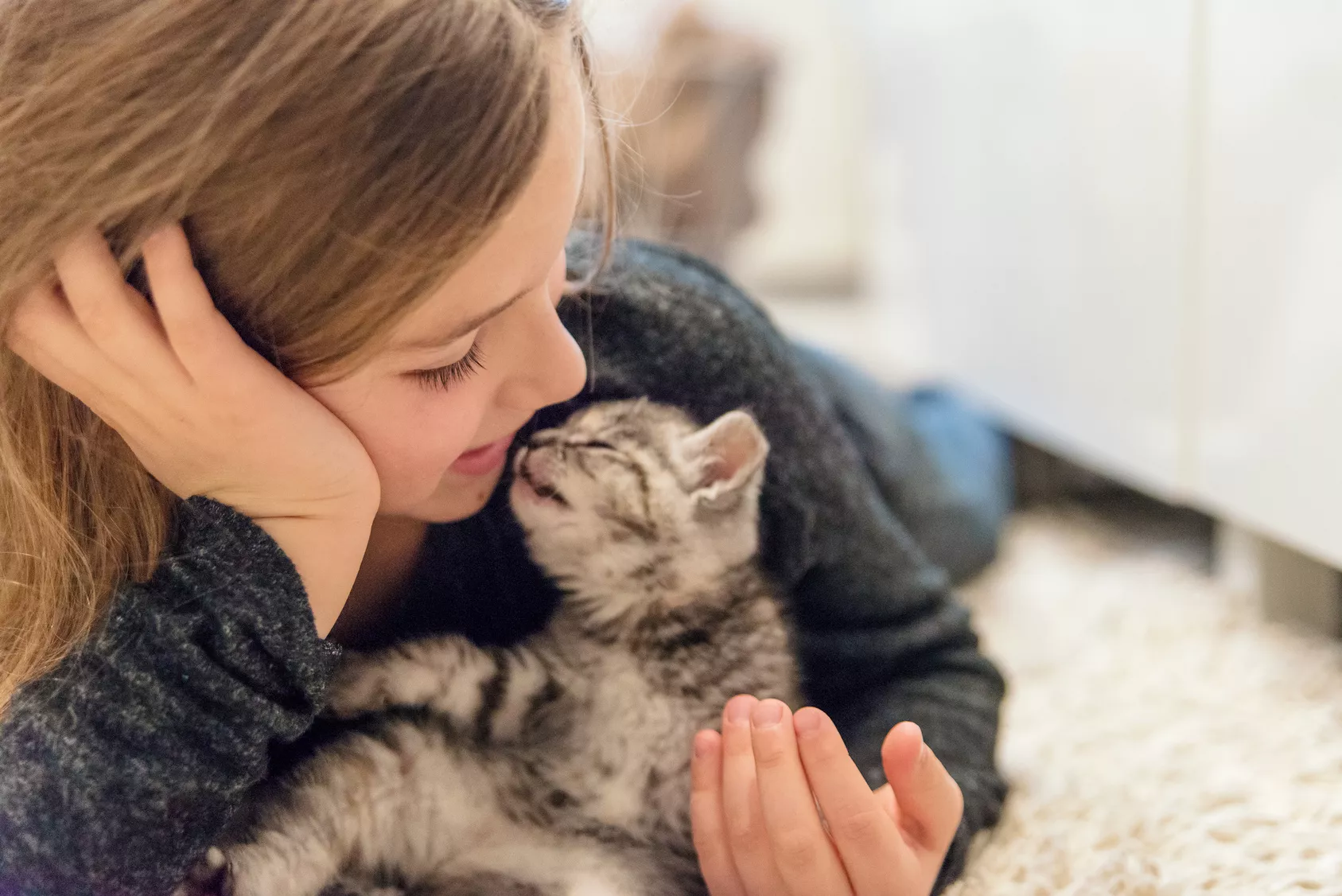 Mädchen mit baby katze Mädchen mit baby katze