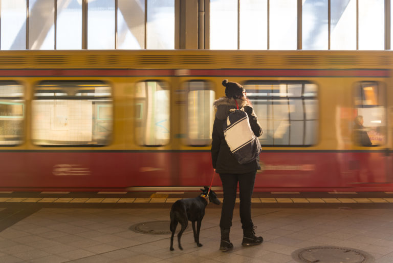 Vonatozás kutyával