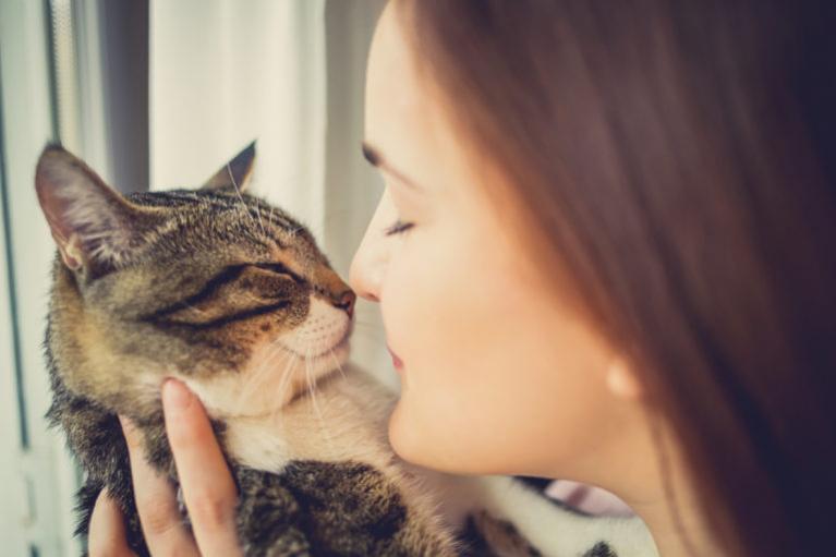 Miért tesznek jót a macskák az egészségünknek