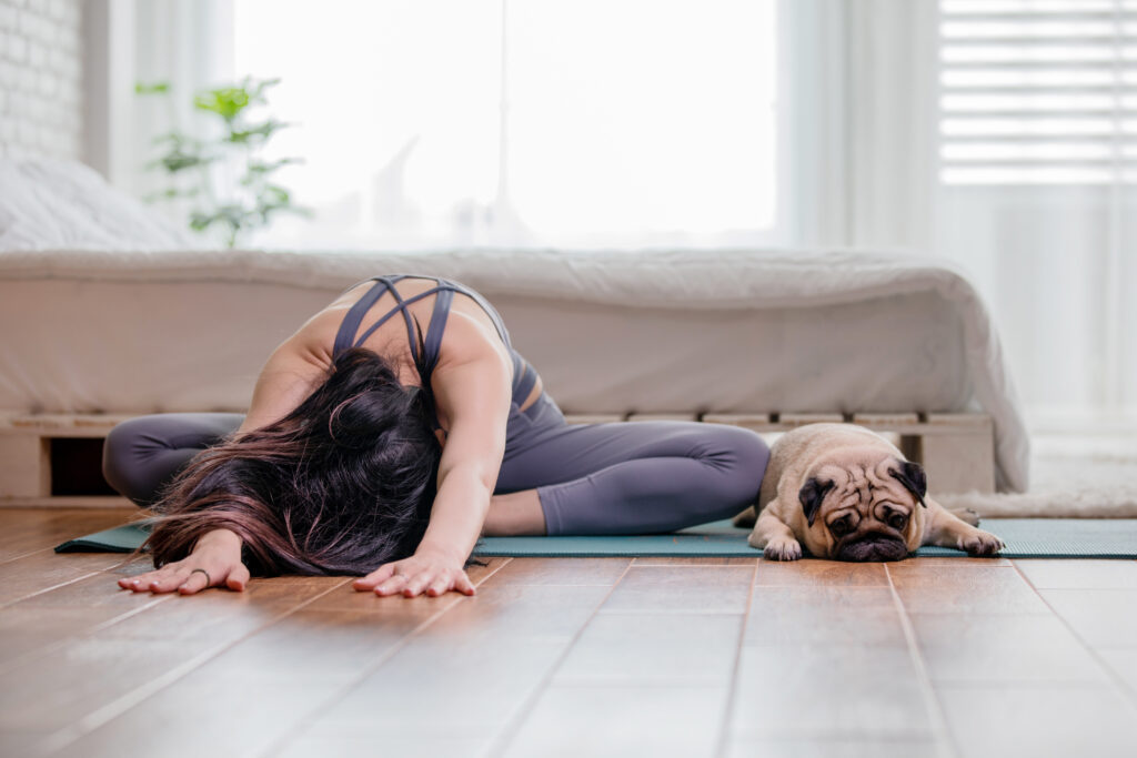 woman practice yoga with dog pug breed frau macht yoga mit hund
