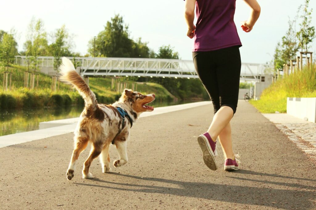 Frau joggt mit nicht angeleintem Hund Joggen mit Hund ohne Leine
