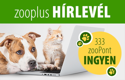 zooplus hírlevél feliratkozás ajándék zoopontok