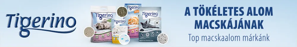 tigerino macskaalom