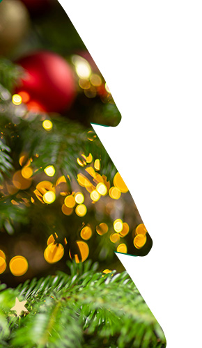 HU_Xmas22_BG_Right