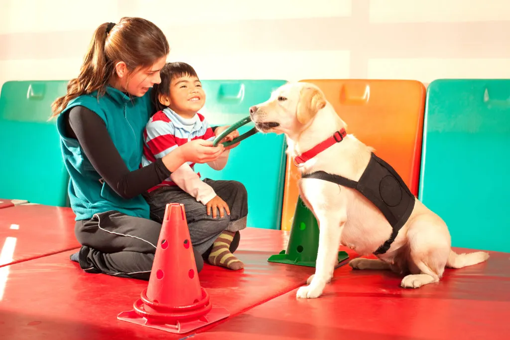 labrador ter&aacute;pi&aacute;s kutya egy gyermekkel